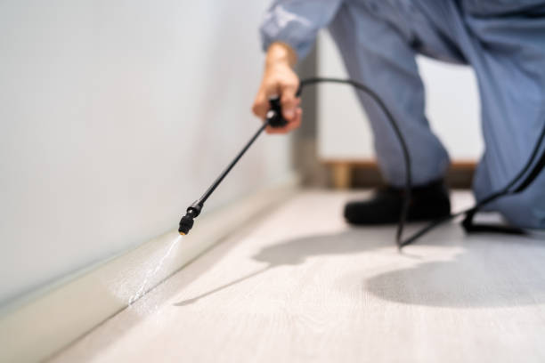 Licensed Mosquito Control service in Woodland, WA - Show Me Pest Control