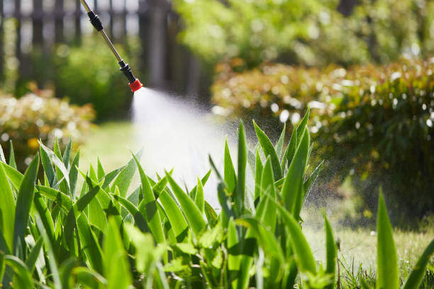 24/7 Emergency Mosquito Control experts in Woodland, WA