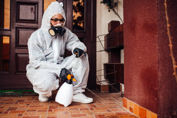 Reliable Mosquito Control contractor in Woodland, WA by Show Me Pest Control